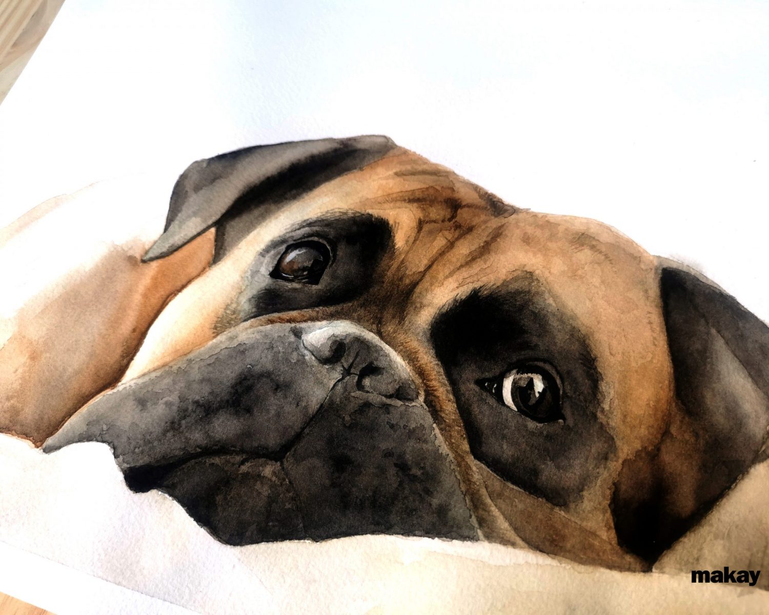 retrato perro bóxer en acuarela