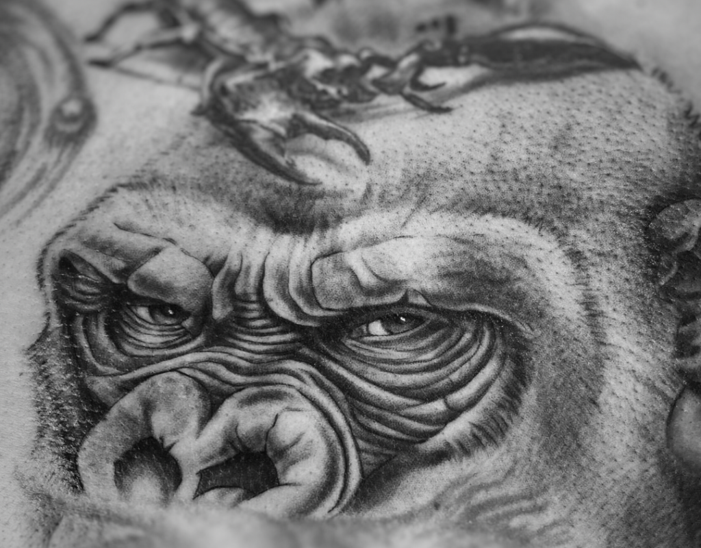Tatuaje mirada de gorila realista